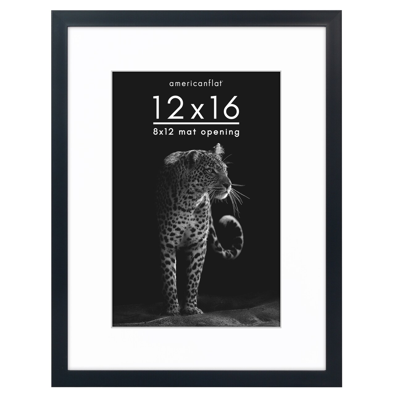 Americanflat Gallery-Style Picture Frame with Mat - Showcase Artwork, Prints, and Photos - Shatter Resistant Glass - Hanging Hardware with Drywall Anchor
